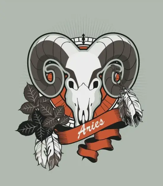 白羊座年度运势总结