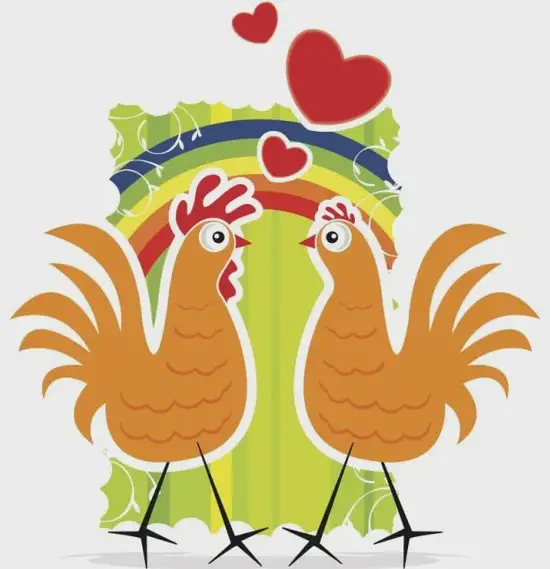 生肖鸡今日运势图解