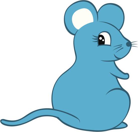 生肖鼠今日财运