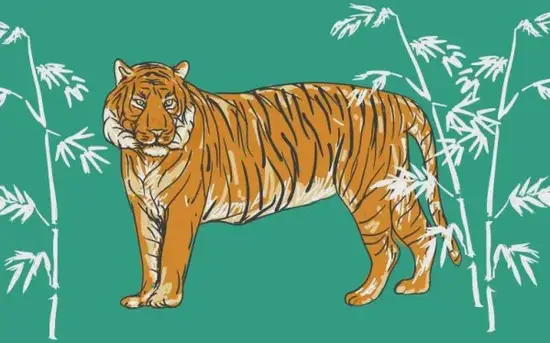 生肖虎财运解析