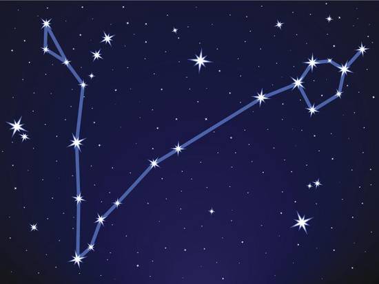 属马人永远最旺的颜色（介绍究竟是哪种颜色）