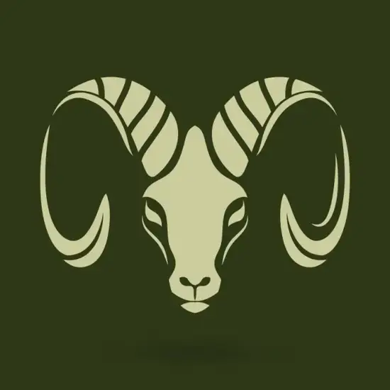 生肖羊中年运势