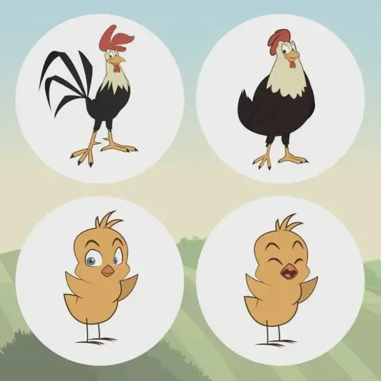 生肖鸡今日运势