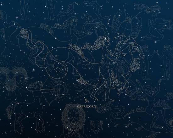 筠的五行属性是什么，筠字五行属什么