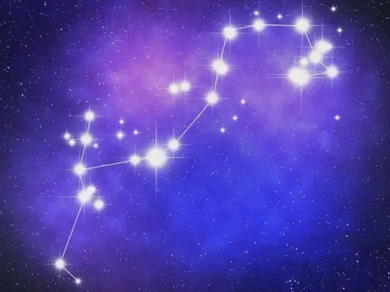 97年属牛的和什么属相最婚配：97年属牛女最佳婚配表