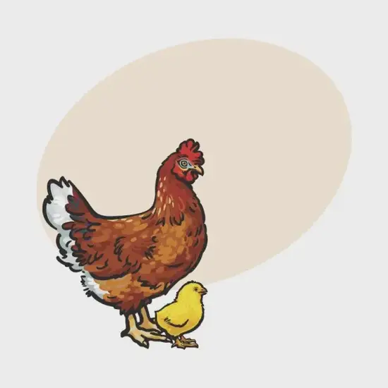 生肖鸡麻将财位