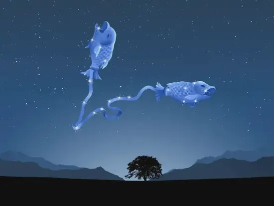 双鱼座元素属性