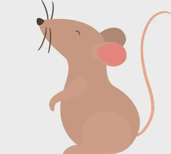 生肖鼠动画视频