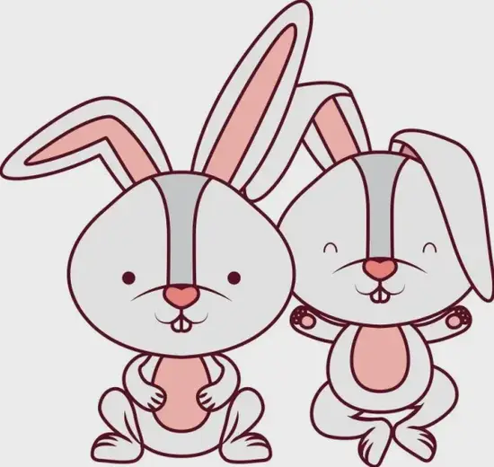 生肖兔财运走势