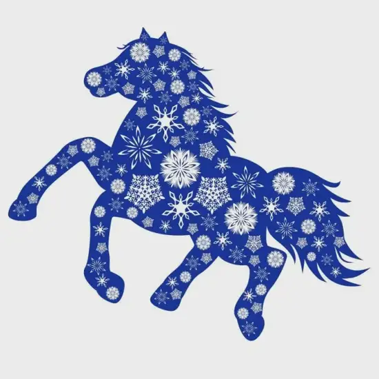 生肖马今日财富方位