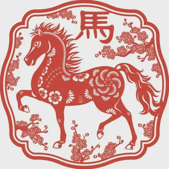 生肖马今日禁忌