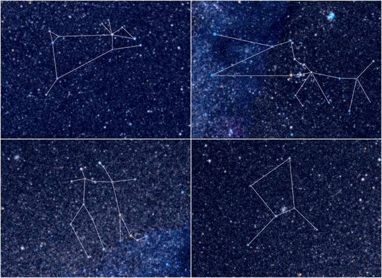 2008属鼠男孩学业如何，2008年属鼠的女孩学业如何