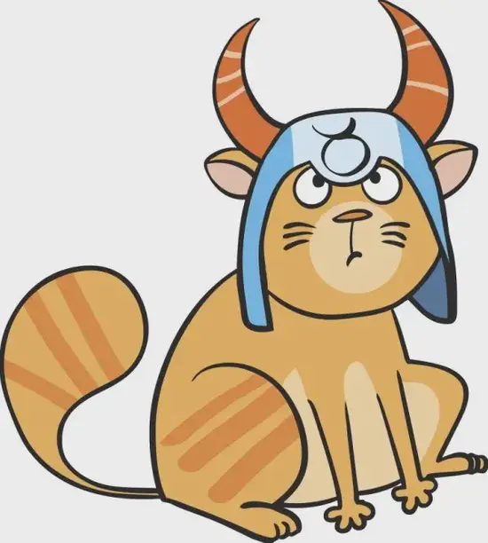 金牛座夫妻组合