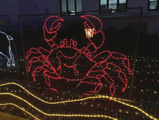 巨蟹座今日运势详解