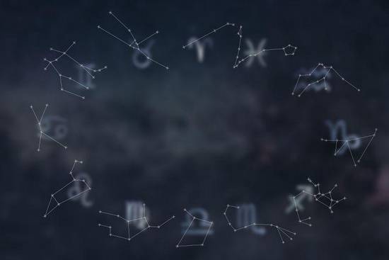 2008属鼠男孩学业如何，2008年属鼠的女孩学业如何