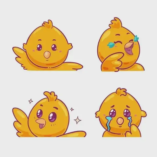 鸡年运势提升方向