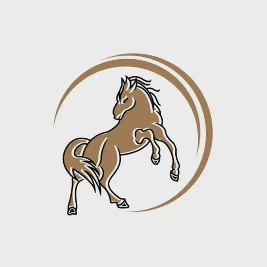 属马今日运程图解