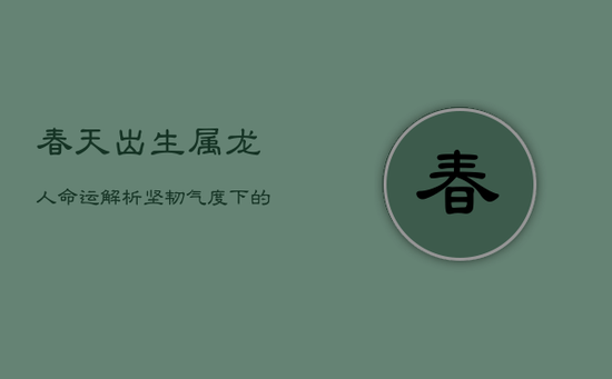 春天出生属龙人命运解析：坚韧气度下的坎坷辉煌路