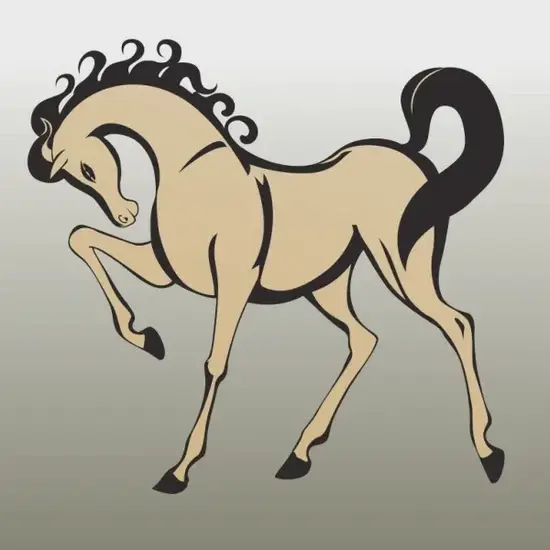 生肖马财运方位