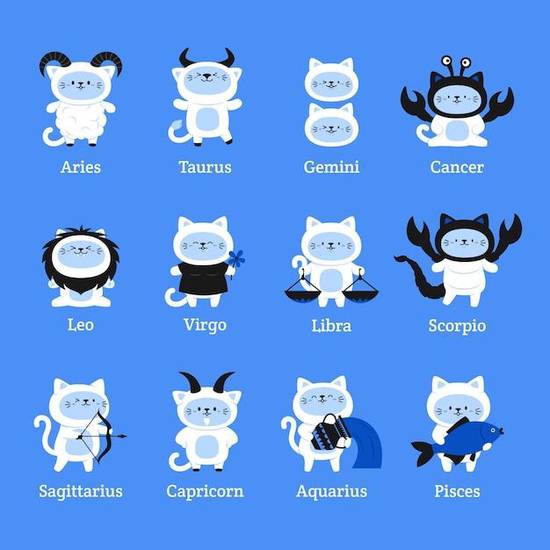 算命书籍大全十二生肖