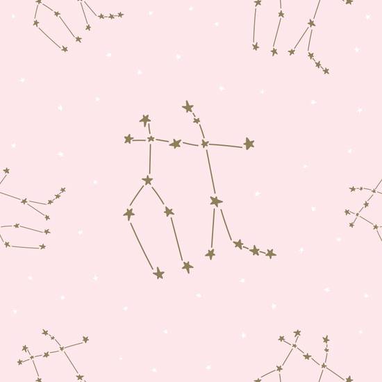 狮子女和什么座最合适（星座配对指南）