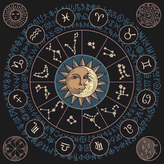 2007年属猪的男孩学业如何，2007年属猪学业去什么方向求学好