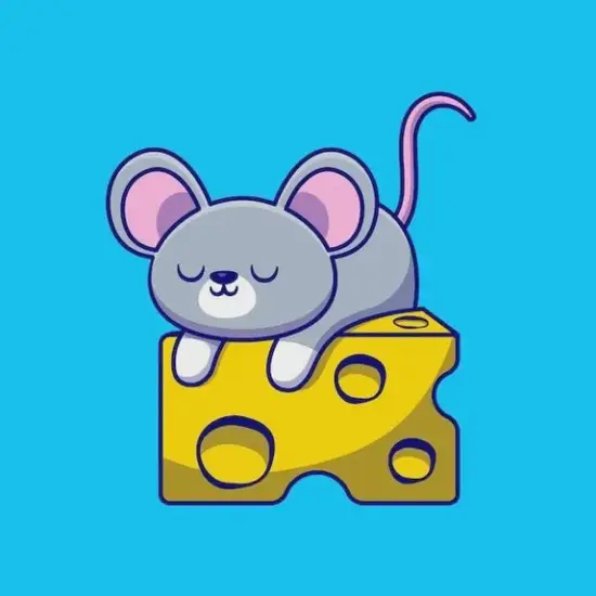 生肖鼠中英对照