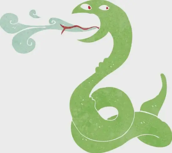 生肖蛇五行生克