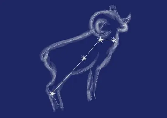 白羊座行动模式图解