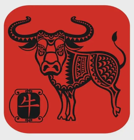 生肖牛学业规划