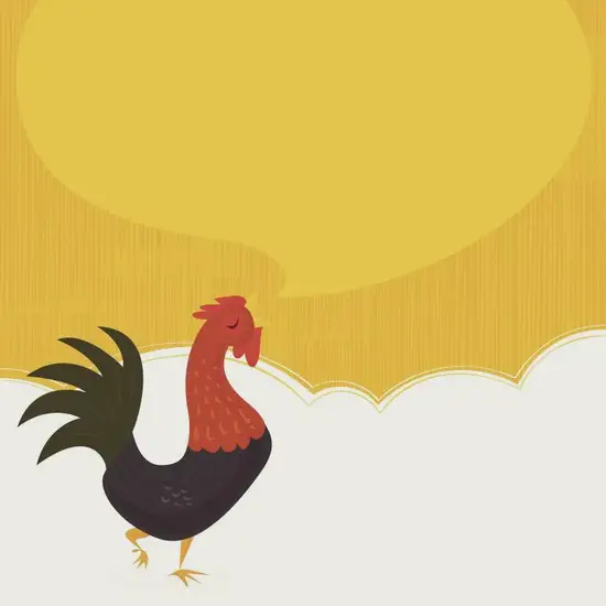 生肖鸡今日财运布局