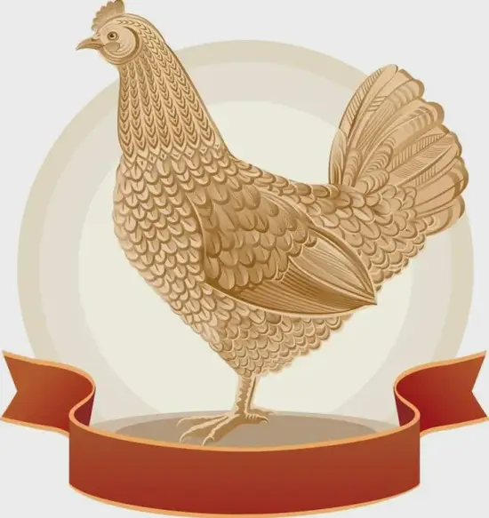 生肖鸡相生相克