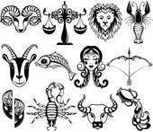 92年水猴五行缺什么（探寻水猴命格的五行缺失之谜）