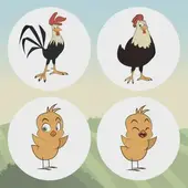 属鸡今天财运如何：打麻将方位解析