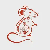 二年级语文十二生肖知识点精讲：必背口诀+练习题