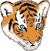 麦玲玲2025生肖运势解析：三大生肖财运爆发