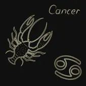 今日运势精准查询：十二星座运程全解读