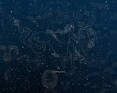 筠的五行属性是什么，筠字五行属什么