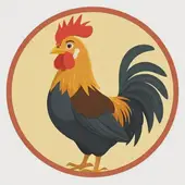 属鸡的2025年是多大岁数：属鸡的2025年龄