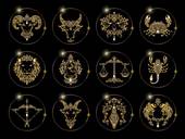 双鱼星座的上升星座是（介绍你的内在世界是如何映射到外在世界的）