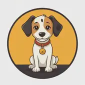 属狗3合必须是一起佩戴的吗