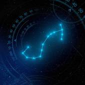 马和鼠生肖婚姻般配吗（十二生肖配对详解）