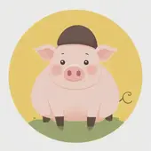 属猪和什么属相最配婚姻最佳呢