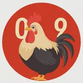 属鸡的2025年七十几岁了：属鸡今年七十几岁了