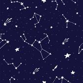 83年属猪女第二次婚姻在哪里，83女猪的婚姻运势