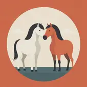 属马的和属什么的在一起合适