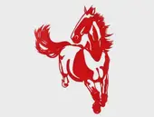 2025十二生肖运势全解析：每月运程预测完整版