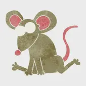 如何查询生肖相冲相克：17期配对禁忌速查表