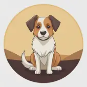 属狗的三合和六个合生肖贵人