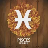 双鱼座今日运势查询指南：最全解析助你把握先机